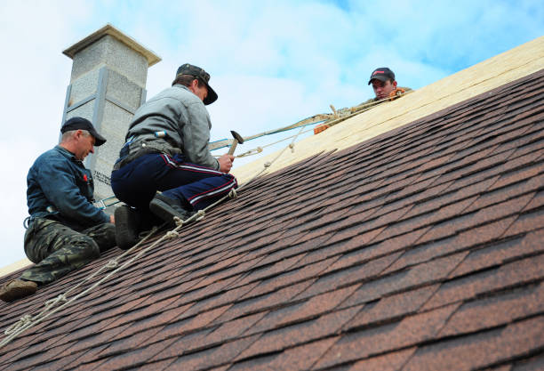 Residential Roof Replacement in Carlisle Rockledge, AL